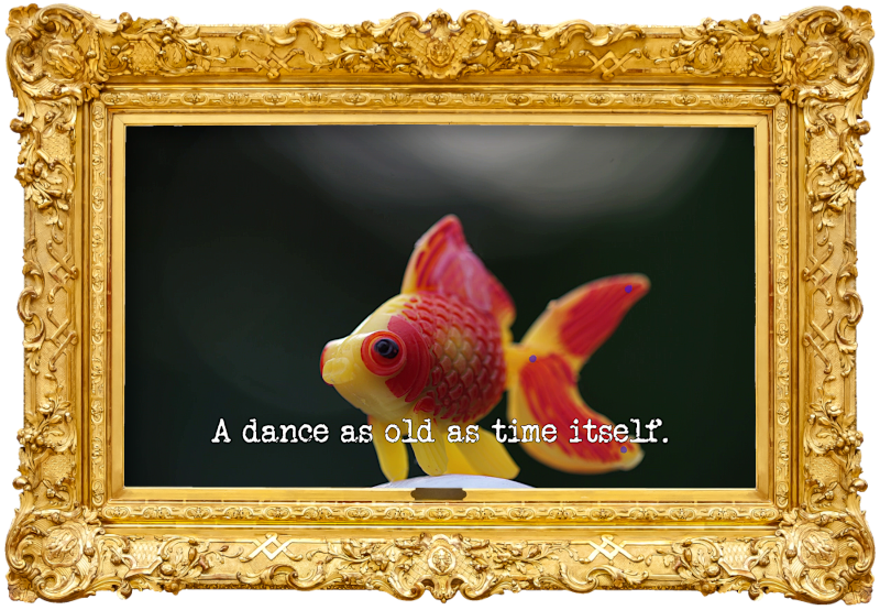 Photo of a plastic model of a goldfish (referencing the 'Put the dottiest fish in the frying pan' task), with the episode title, 'A dance as old as time itself', superimposed on it.