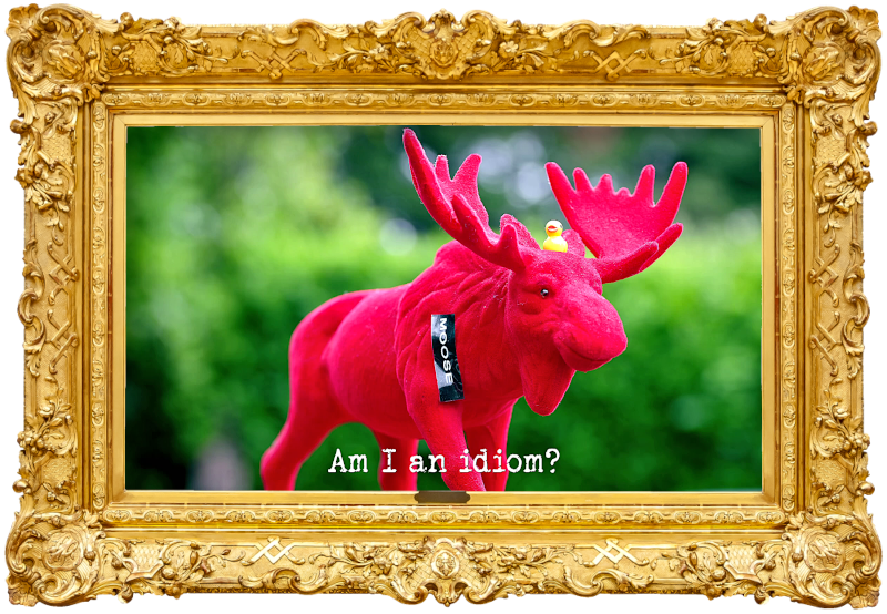 Image of a red model of a moose, labelled with the word 'moose', with a small yellow rubber duck perched on its head, in front of a blurred hedge (referencing the 'Answer Alex’s 10 questions' and 'Paint an animal sat on another animal' tasks), with the episode title, 'Am I an idiom?', superimposed on it.