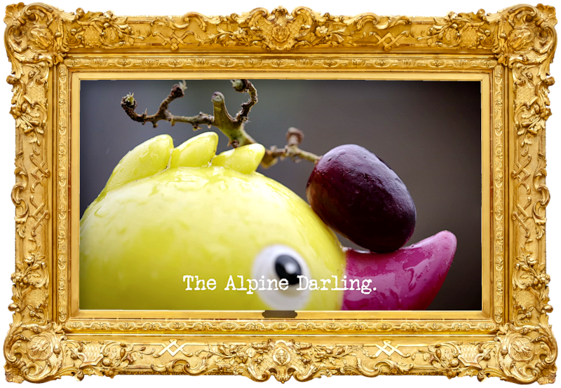 Image of the top of the head of a rubber duck, with a single grape balanced on its bill (a combined reference to both the 'Feed yourself a grape in the most elaborate way' task and the 'Get the duck into the pond' task), with the episode title, 'The alpine darling', superimposed on it.