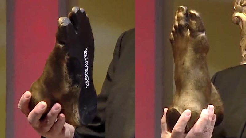 Image of the Edinburgh Does... Taskmaster prize, Greg's golden foot.