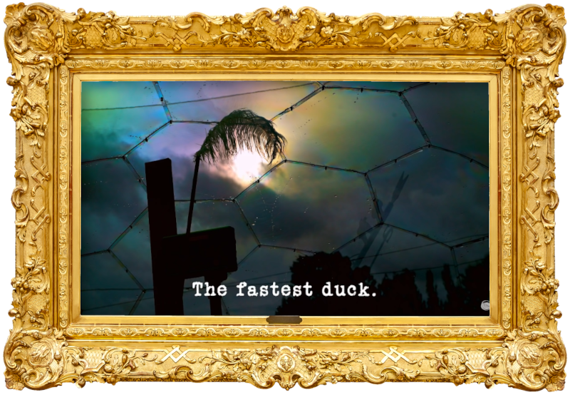 Image of the silhouette of a feather on a stick against the sky, viewed through the ceiling of the plastic dome outside the Taskmaster house (a reference to the 'Build the lightest tower on a set of scales' task), with the episode title, 'The fastest duck', superimposed on it.