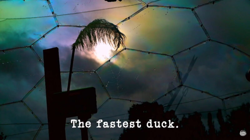 Image of the silhouette of a feather on a stick against the sky, viewed through the ceiling of the plastic dome outside the Taskmaster house (a reference to the 'Build the lightest tower on a set of scales' task), with the episode title, 'The fastest duck', superimposed on it.
