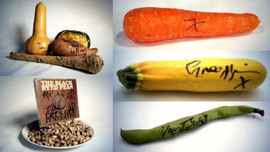 Image of the pool of prize submissions submitted by the contestants in the 'The most interesting vegetable autograph' task.