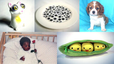 Image of the pool of prize submissions submitted by the contestants in the 'The cutest thing' task.