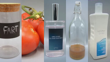 Image of the pool of prize submissions submitted by the contestants in the 'The most powerful smell' task.