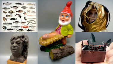 Image of the pool of prize submissions submitted by the contestants in the 'The best thing from a shed' task.