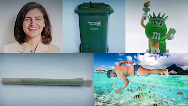 Image of the pool of prize submissions submitted by the contestants in the 'The best green thing' task.
