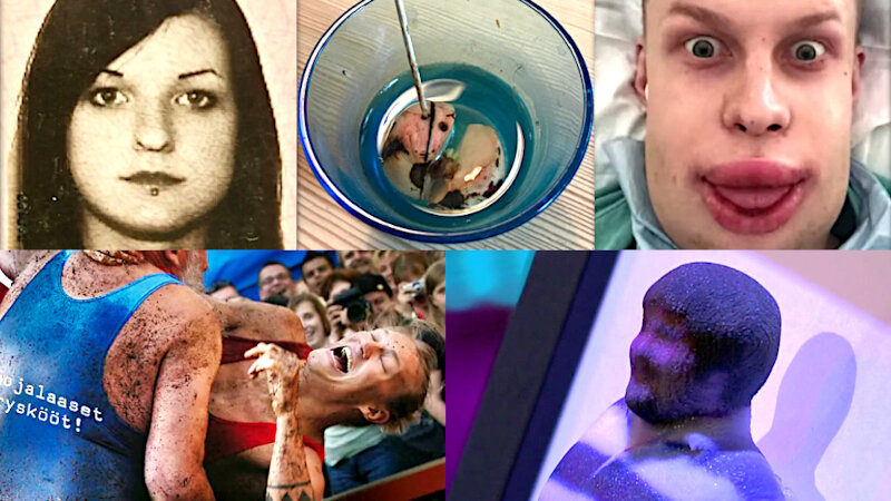 Image of the pool of prize submissions submitted by the contestants in the 'The most surprising picture of yourself' task.