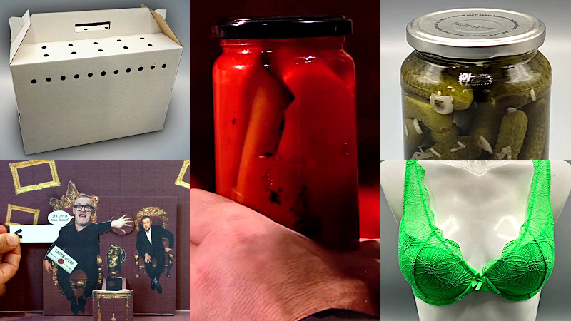 A cardboard pet carrier, a pop-up book of Alex and Greg, a jar of pickled peppers, a jar of dill pickles, and a green bra.