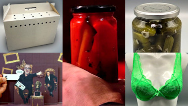 A cardboard pet carrier, a pop-up book of Alex and Greg, a jar of pickled peppers, a jar of dill pickles, and a green bra.