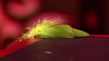 A feather draped over the very edge of a table corner.