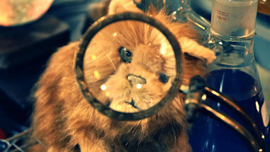 A magnifying glass in front of the face of a ginger stuffed toy cat.